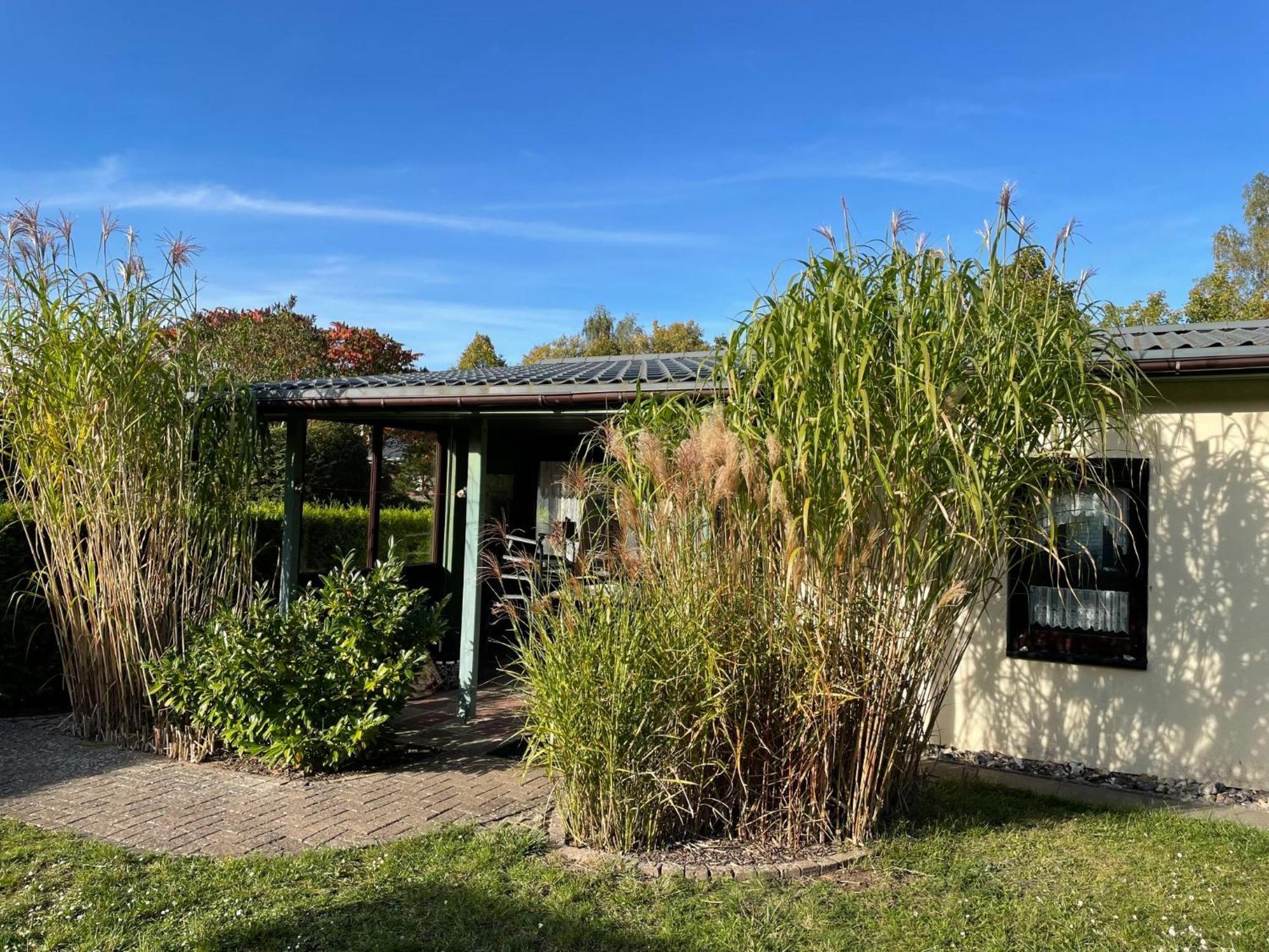 Holiday Home Am Walde-1 By Interhome Dobbertin Bagian luar foto